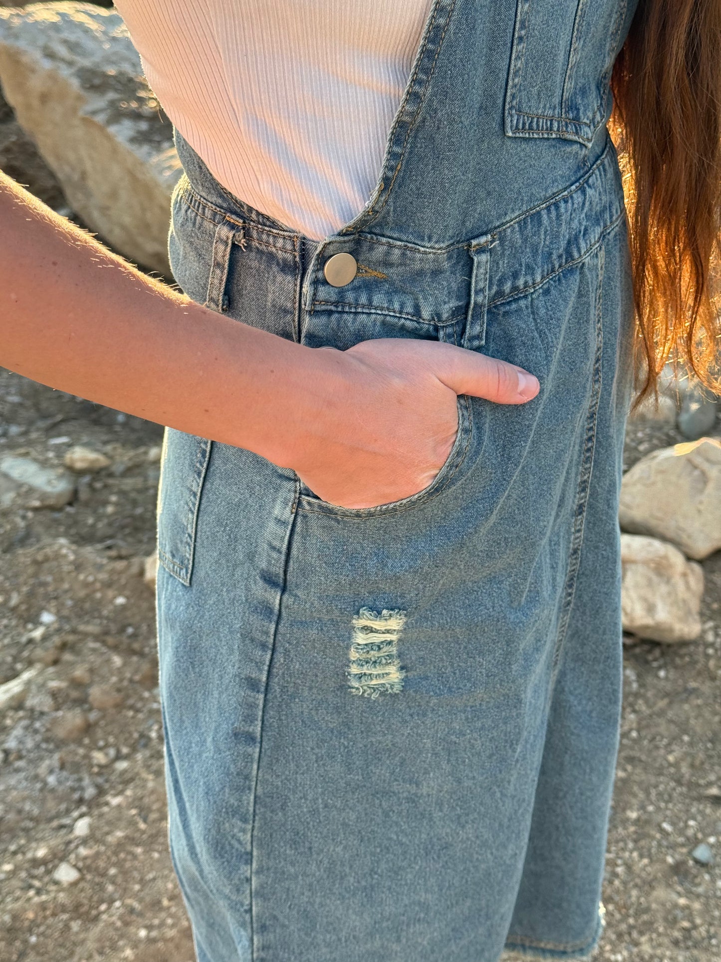 Denim Overall Dress